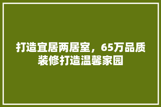打造宜居两居室，65万品质装修打造温馨家园 软装设计