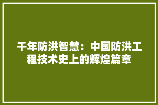 千年防洪智慧：中国防洪工程技术史上的辉煌篇章
