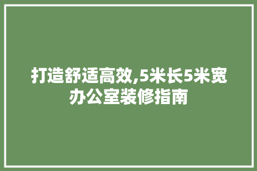 打造舒适高效,5米长5米宽办公室装修指南 现代风格装饰