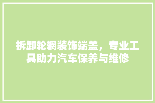 拆卸轮辋装饰端盖，专业工具助力汽车保养与维修 家居装修