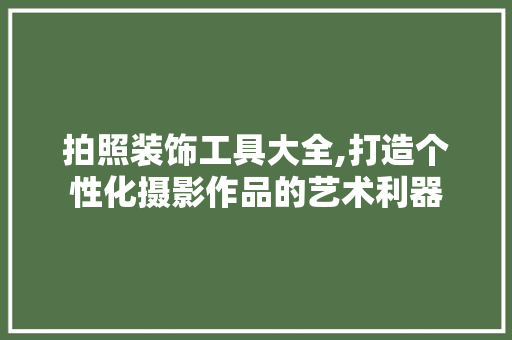 拍照装饰工具大全,打造个性化摄影作品的艺术利器 软装设计