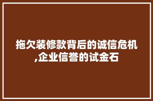 拖欠装修款背后的诚信危机,企业信誉的试金石 家居装修