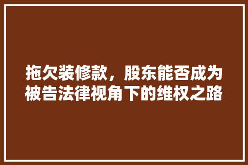 拖欠装修款，股东能否成为被告法律视角下的维权之路 软装设计