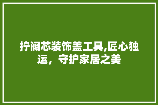 拧阀芯装饰盖工具,匠心独运，守护家居之美 现代风格装饰