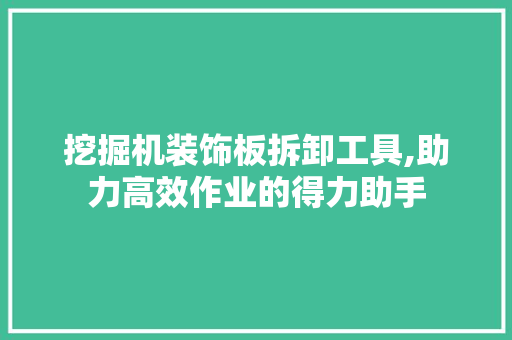 挖掘机装饰板拆卸工具,助力高效作业的得力助手