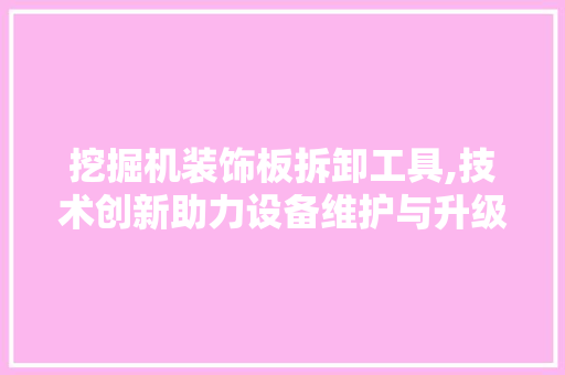 挖掘机装饰板拆卸工具,技术创新助力设备维护与升级