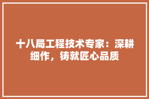 十八局工程技术专家：深耕细作，铸就匠心品质 家居装修