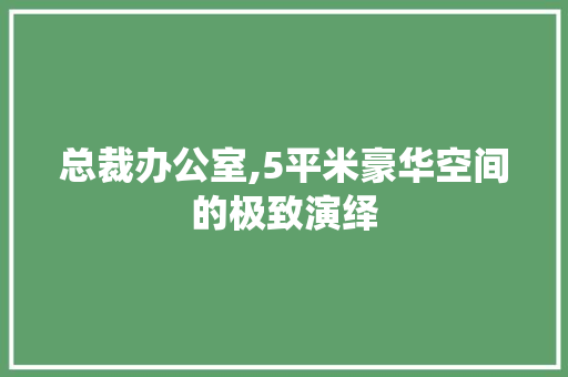 总裁办公室,5平米豪华空间的极致演绎 卧室装修