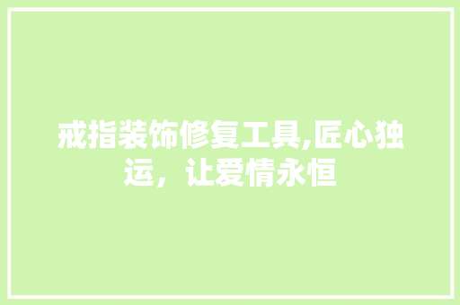 戒指装饰修复工具,匠心独运，让爱情永恒