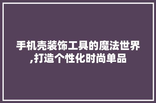 手机壳装饰工具的魔法世界,打造个性化时尚单品 现代风格装饰