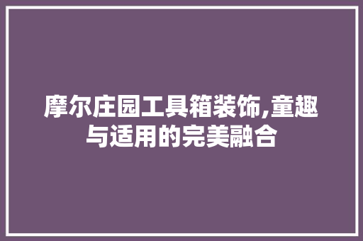 摩尔庄园工具箱装饰,童趣与适用的完美融合