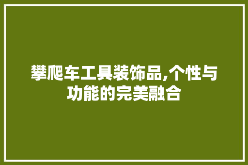 攀爬车工具装饰品,个性与功能的完美融合