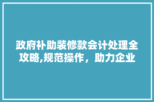 政府补助装修款会计处理全攻略,规范操作，助力企业合规发展