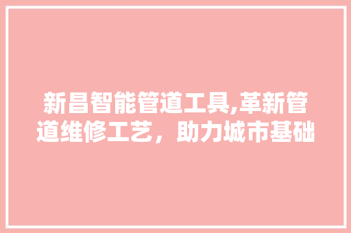 新昌智能管道工具,革新管道维修工艺，助力城市基础设施升级 木雕艺术