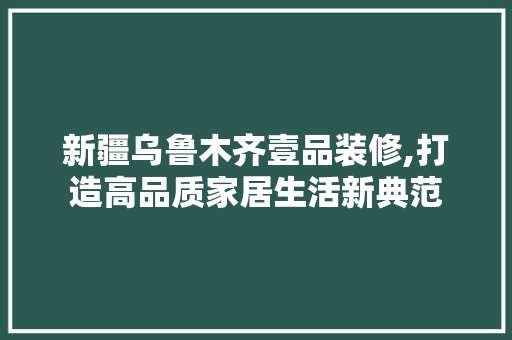 新疆乌鲁木齐壹品装修,打造高品质家居生活新典范 家居装修