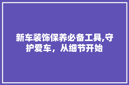 新车装饰保养必备工具,守护爱车，从细节开始 木雕艺术