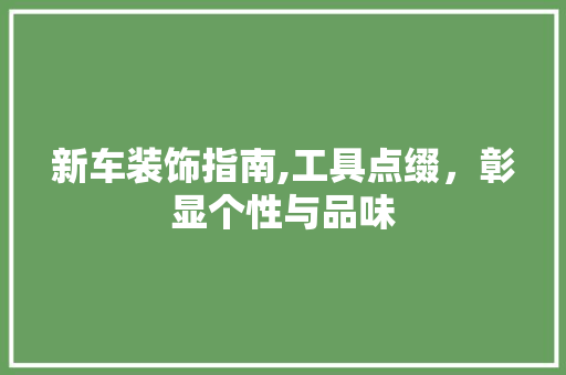 新车装饰指南,工具点缀，彰显个性与品味 家居装修