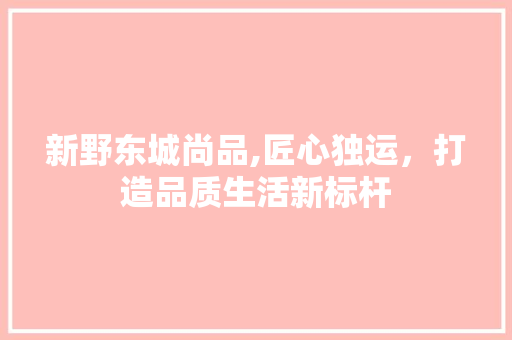 新野东城尚品,匠心独运，打造品质生活新标杆