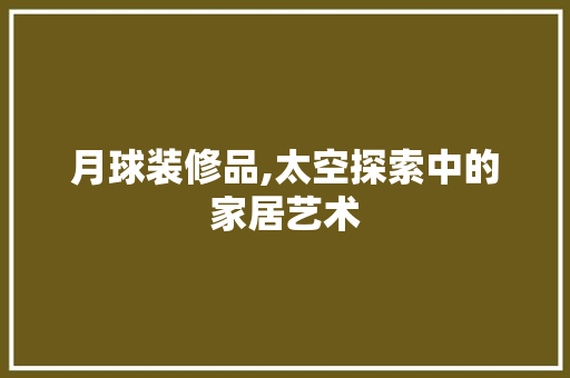 月球装修品,太空探索中的家居艺术