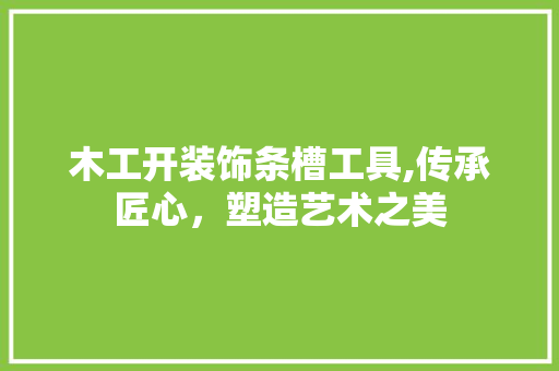 木工开装饰条槽工具,传承匠心，塑造艺术之美 现代风格装饰