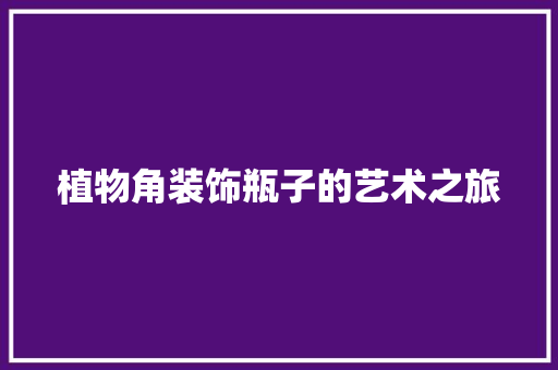 植物角装饰瓶子的艺术之旅