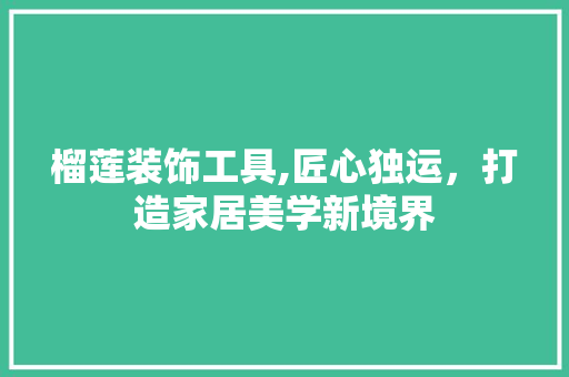 榴莲装饰工具,匠心独运，打造家居美学新境界