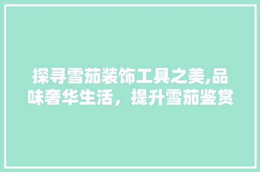 探寻雪茄装饰工具之美,品味奢华生活，提升雪茄鉴赏体验