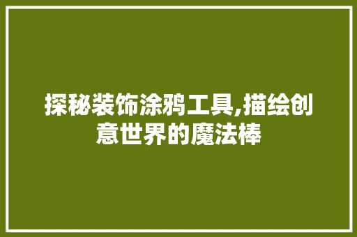 探秘装饰涂鸦工具,描绘创意世界的魔法棒