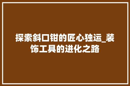 探索斜口钳的匠心独运_装饰工具的进化之路 中式风格装饰