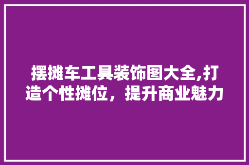 摆摊车工具装饰图大全,打造个性摊位，提升商业魅力
