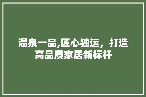 温泉一品,匠心独运，打造高品质家居新标杆 木雕艺术