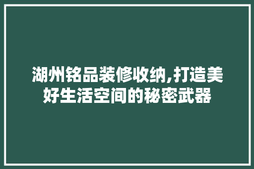 湖州铭品装修收纳,打造美好生活空间的秘密武器 软装设计