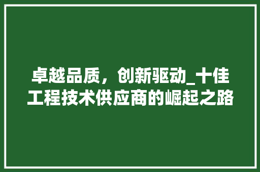 卓越品质，创新驱动_十佳工程技术供应商的崛起之路