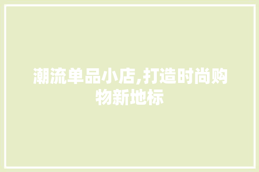 潮流单品小店,打造时尚购物新地标 中式风格装饰