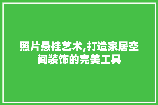 照片悬挂艺术,打造家居空间装饰的完美工具