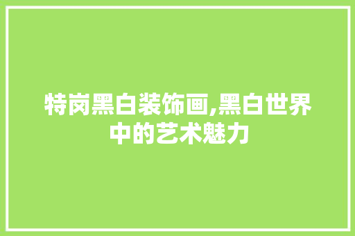特岗黑白装饰画,黑白世界中的艺术魅力 卧室装修