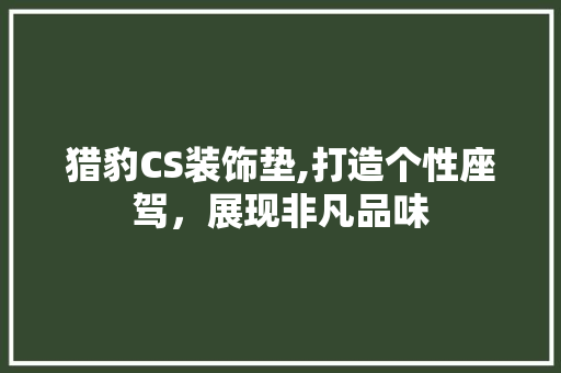 猎豹CS装饰垫,打造个性座驾，展现非凡品味 地板材料