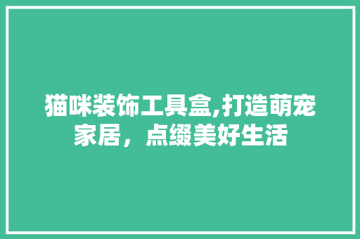猫咪装饰工具盒,打造萌宠家居，点缀美好生活