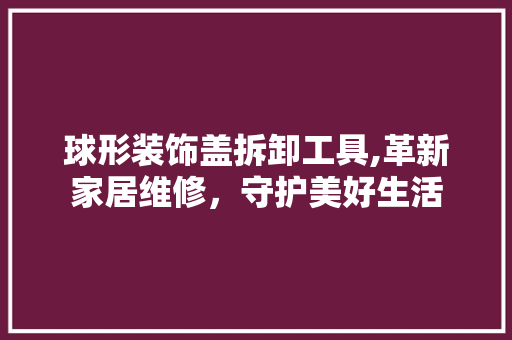 球形装饰盖拆卸工具,革新家居维修，守护美好生活 中式风格装饰