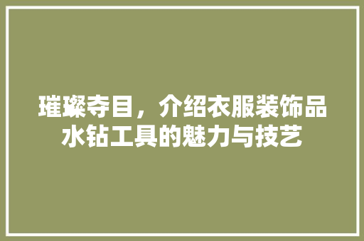 璀璨夺目，介绍衣服装饰品水钻工具的魅力与技艺 现代风格装饰