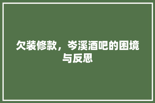 欠装修款，岑溪酒吧的困境与反思