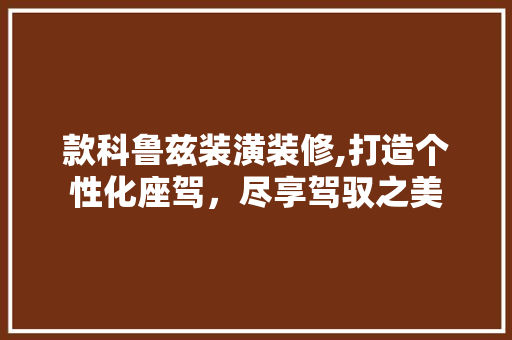 款科鲁兹装潢装修,打造个性化座驾，尽享驾驭之美 家居装修