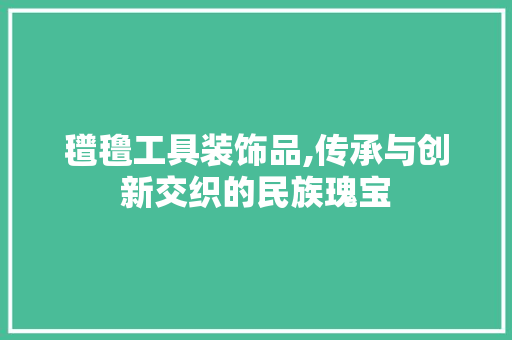氆氇工具装饰品,传承与创新交织的民族瑰宝