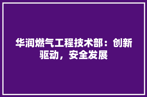 华润燃气工程技术部：创新驱动，安全发展