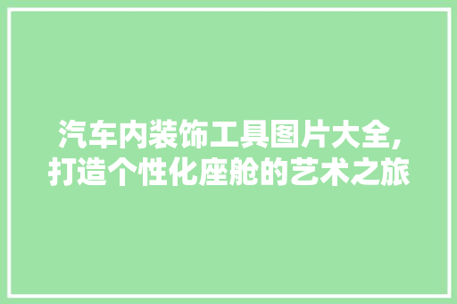 汽车内装饰工具图片大全,打造个性化座舱的艺术之旅