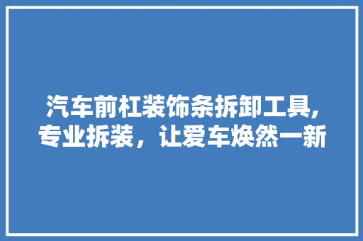 汽车前杠装饰条拆卸工具,专业拆装，让爱车焕然一新 家居装修