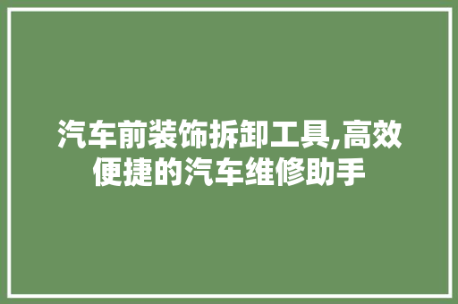 汽车前装饰拆卸工具,高效便捷的汽车维修助手 地板材料