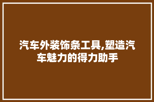 汽车外装饰条工具,塑造汽车魅力的得力助手 地板材料