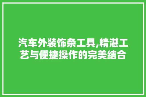 汽车外装饰条工具,精湛工艺与便捷操作的完美结合 木雕艺术