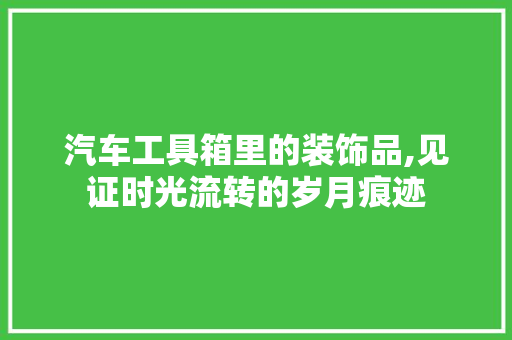 汽车工具箱里的装饰品,见证时光流转的岁月痕迹 室内设计